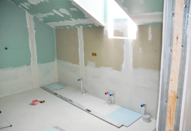 Best Crawl Space Mold Remediation  in Northglenn, CO