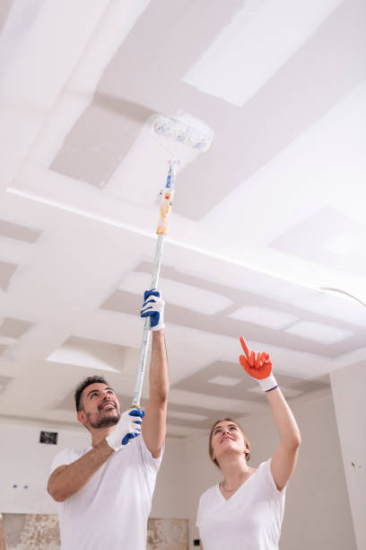 Mold Remediation for Vacation Homes in Northglenn, CO