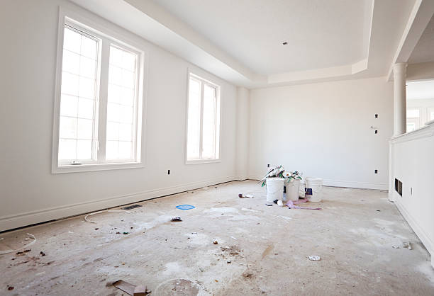 Mold Odor Removal Services in Northglenn, CO