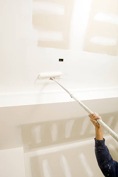 Biohazard Mold Removal in Northglenn, CO